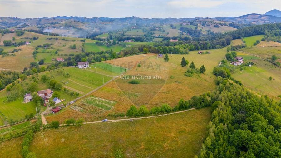 Teren Construcții intravilan de 11600 mp, în Poiana Mărului Teren Construcții intravilan de 11600 mp, în Poiana Mărului