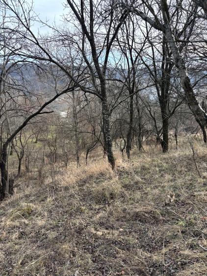 Teren de vanzare Fieni Dambovita - 2