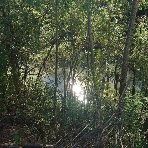 Teren vanzare Ciolpani / Luparie 10.000 PROMOTIE DE SARBATORI - 3