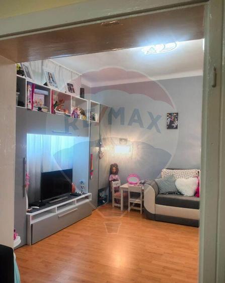 Casa la tara in satul Retis, comuna Bradeni, aproape de ... - 9