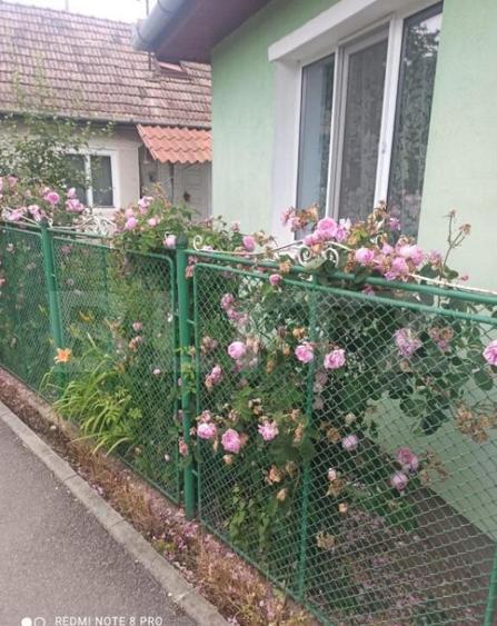 Casa cu 2 camere, 52mp, zona Remetea - 7