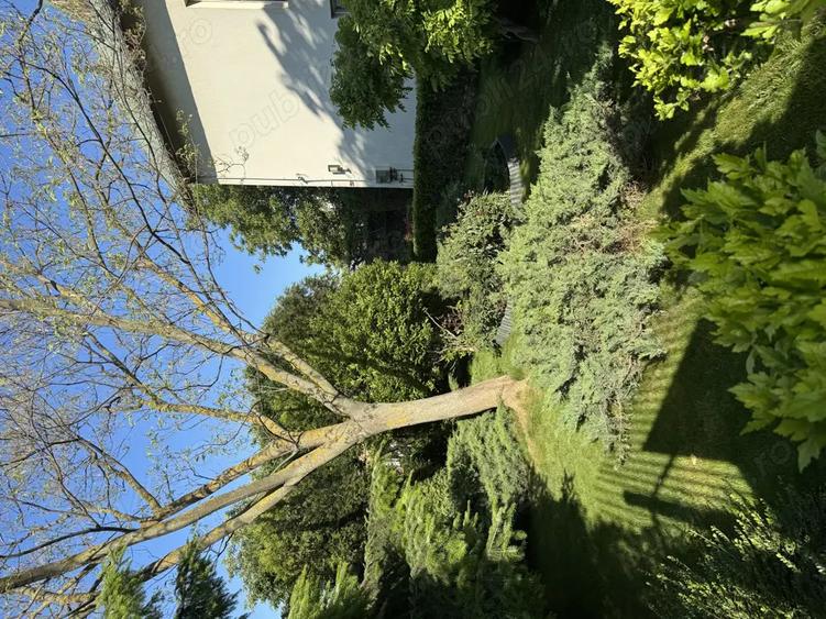 Vand proprietate deosebita in Bragadiru-Prelungirea Ghencea. - 8