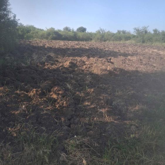 Teren Intravilan Oradea 1000 m2 Zona Nicolae Beldiceanu - 1