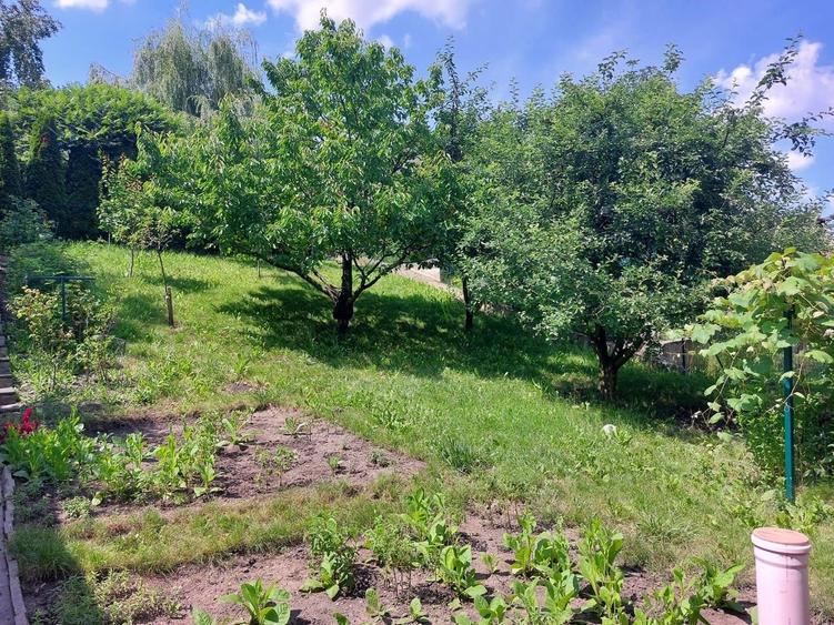 Casa individuala, cu garaj, teren 917 mp, in Andrei Muresanu - 11