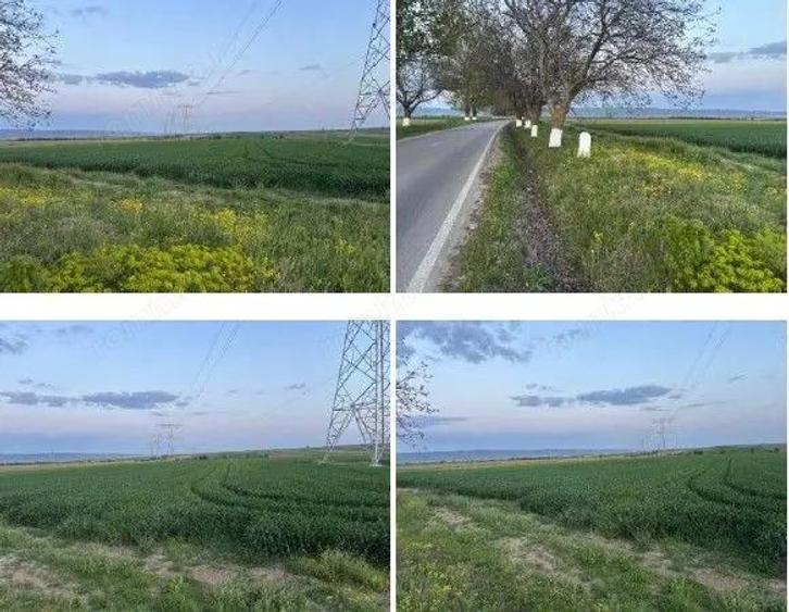 Teren cota parte 1/6 Paunesti, ID: R2547851 - 3