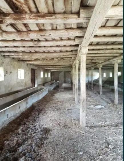 Hala zootehnica 651 mp pe teren 1.193 mp, Banpotoc acces asfalt - 1