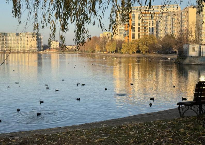 Apartament 3 Camere Aleea Sinaia - Doamna Ghica - 9