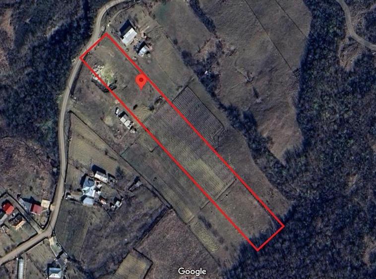 Teren Tomesti 3750MP - 1