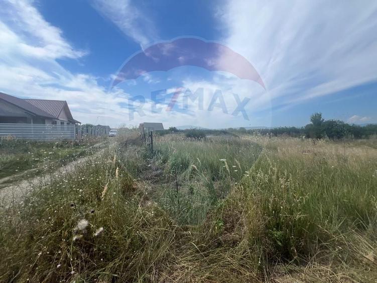 Teren intravilan Golesti / Aleea Lacramioarei - 1