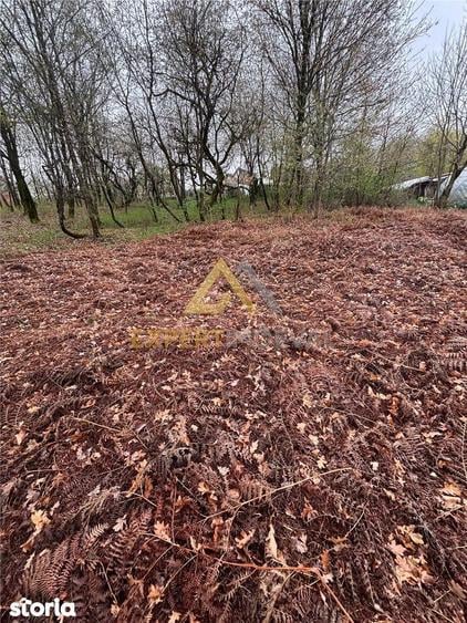 Teren intravilan in spate la Castel Transilvania 1.000mp - 4