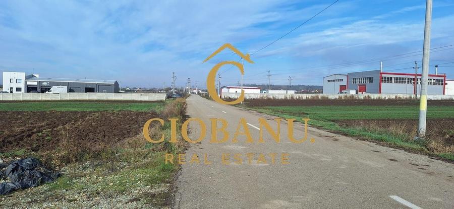 Hala de vanzare in Racari de Jos - 19