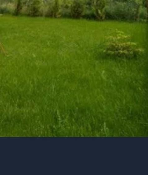 Teren de vanzare Afumati - 1