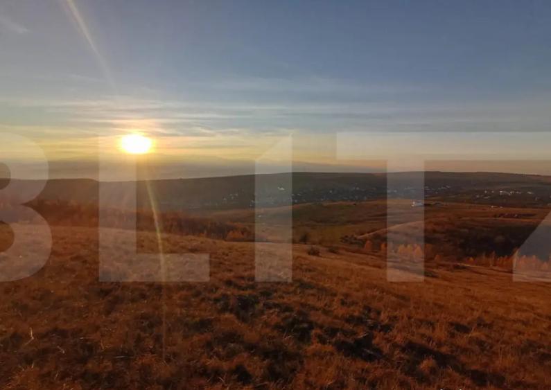 Teren extravilan potrivit pentru investitie - 3