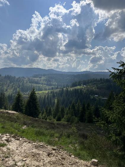 Teren intravilan 5318 mp Poiana Horea-Belis - 5