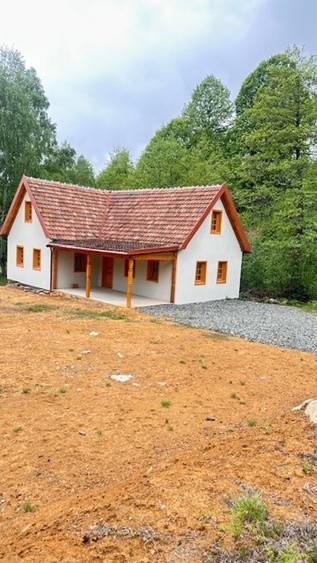 CHIUZBAIA 2CABANE cu teren de aprox. 70ari ! - 1