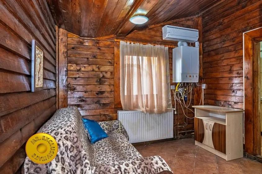 Doua case in aceeasi curte Pitesti, Strada Turcesti - 11