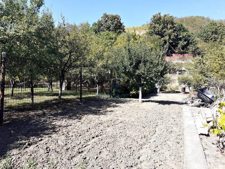 Casa din busteni de vanzare, Podgoria, Oradea - 4