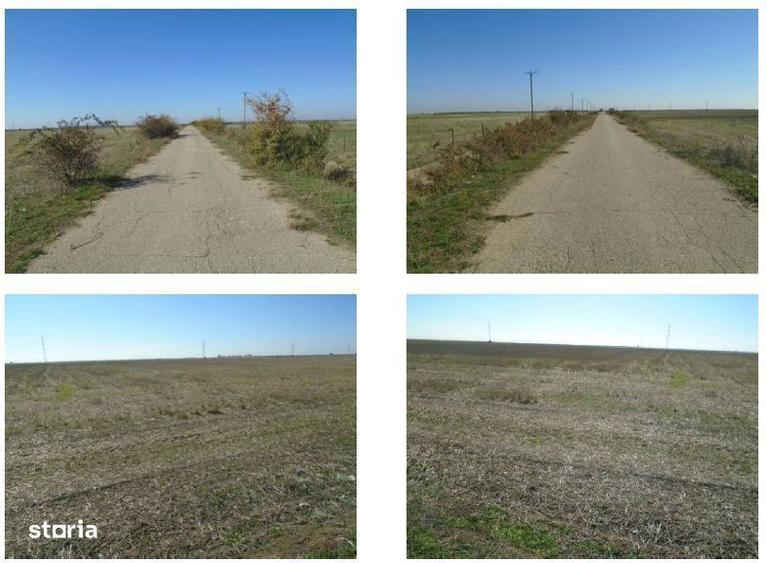 cota de 3/32 teren extravilan-Loc Cateasca, jud. Arges - 5