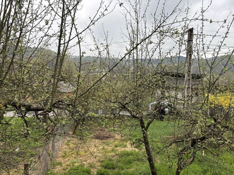 Vand casa si teren in Rau alb - 2