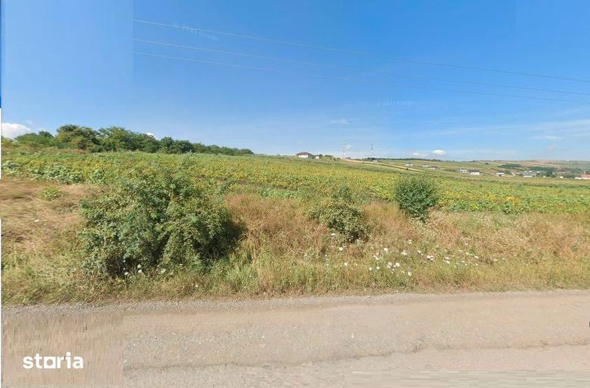 Teren extravilan, parcele de 550 mp, Valea Fanatelor- Iris - 2