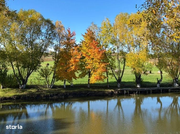 Teren de vanzare - Agapia, Neamt - 4