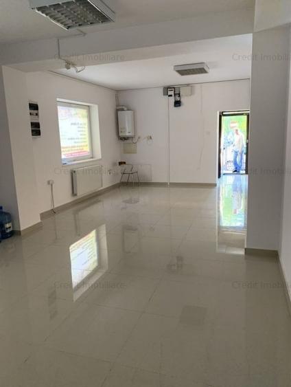 Casă individuală cu 10 camere în Scriitorilor - 9