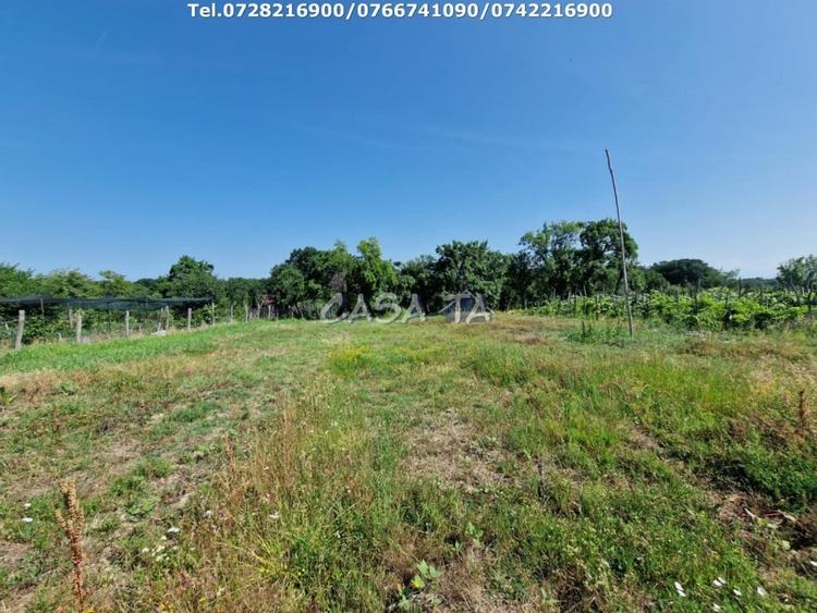 Casa 3 Camere + Teren si Anexe, Tirculesti- Danesti - 11