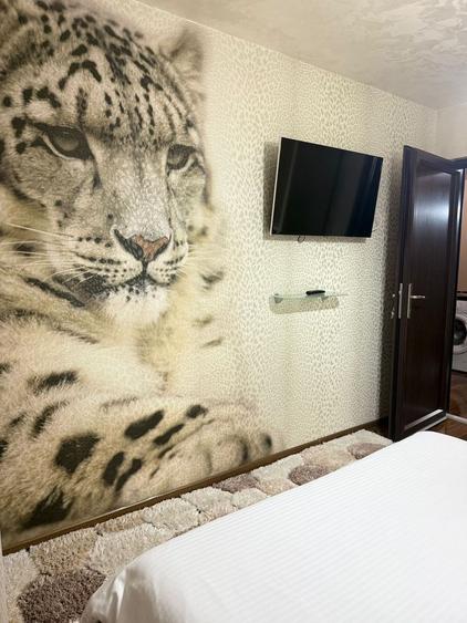 Apartament 3 camere Ultracentral Calea Bucuresti Kfc - 1