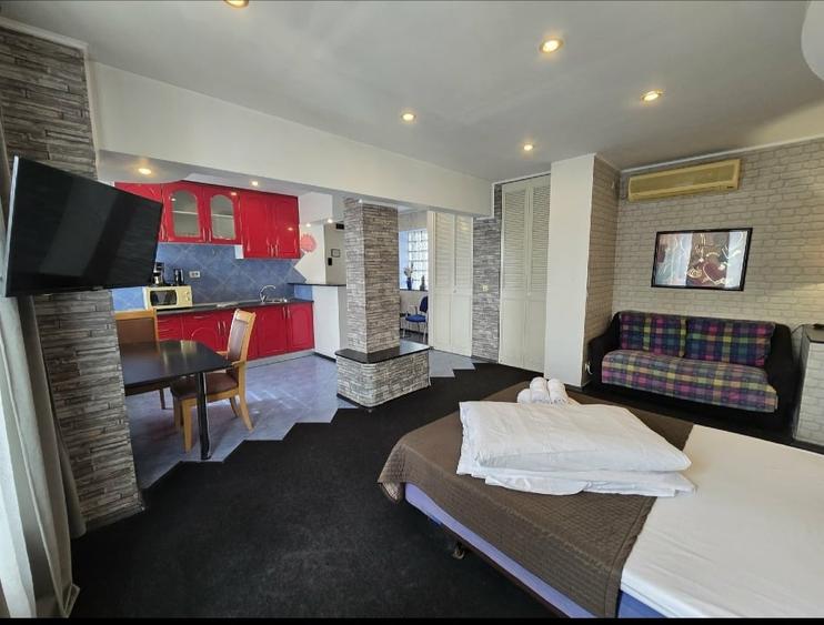 PROPRIETAR VÂND GARSONIERA BD. CORNELIU COPOSU - 1