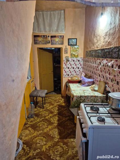 De vanzare casa cu teren Sat Pustinis, 1150 m2. - 9