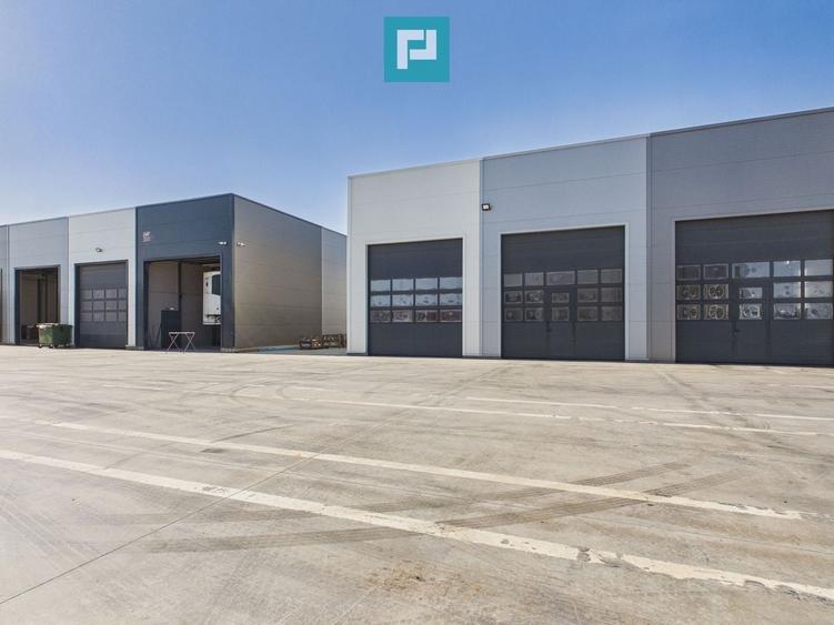 Hală 570 mp Centura Nord - 6