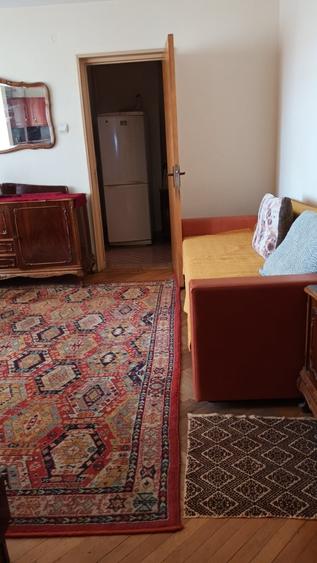 Apartament 2 camere Craiovei, mobilat - 7