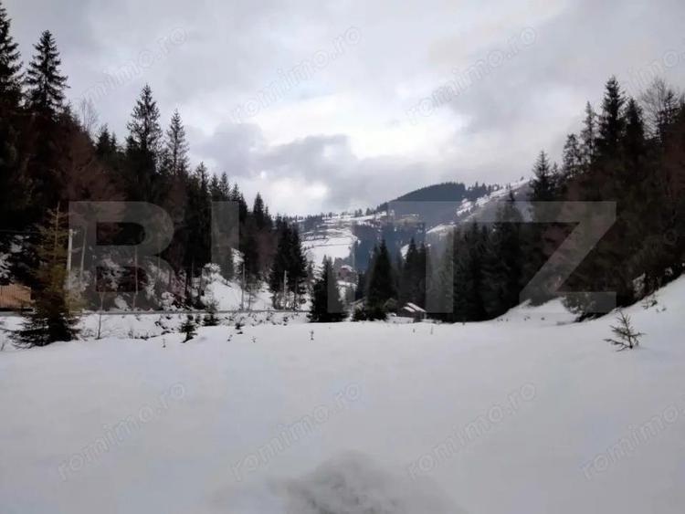 Cabana cocheta la marginea padurii Dealul Bajului - 12