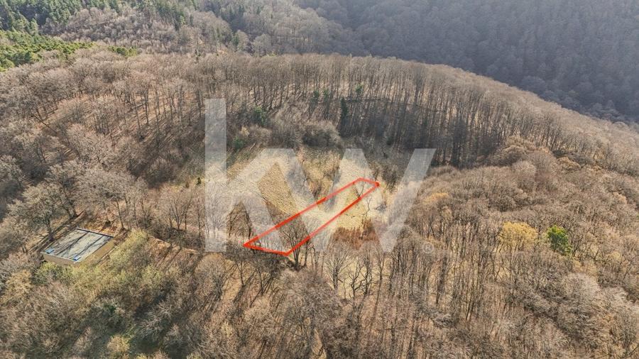 Cel mai mic pret din zona! Teren intravilan in zona Belvedere - 7