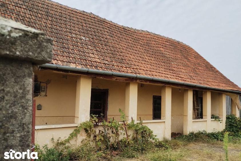 Casa veche din 1955 si teren intravilan 6153 mp, Sinersig,Jud Timis - 6