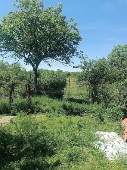 Casă cu 3 camere cu Teren 4601 Mp în 1 Decembrie
