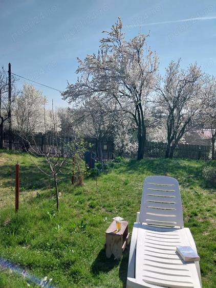 Casa caramida cartojani giurgiu gaze apa centrala, direct proprietar - 9