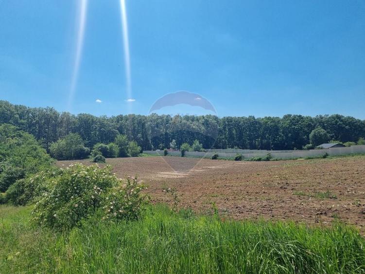 Teren 872,43 mp Snagov - 7