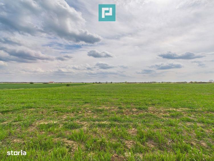 Teren extravilan 2050 mp, Giroc - 1