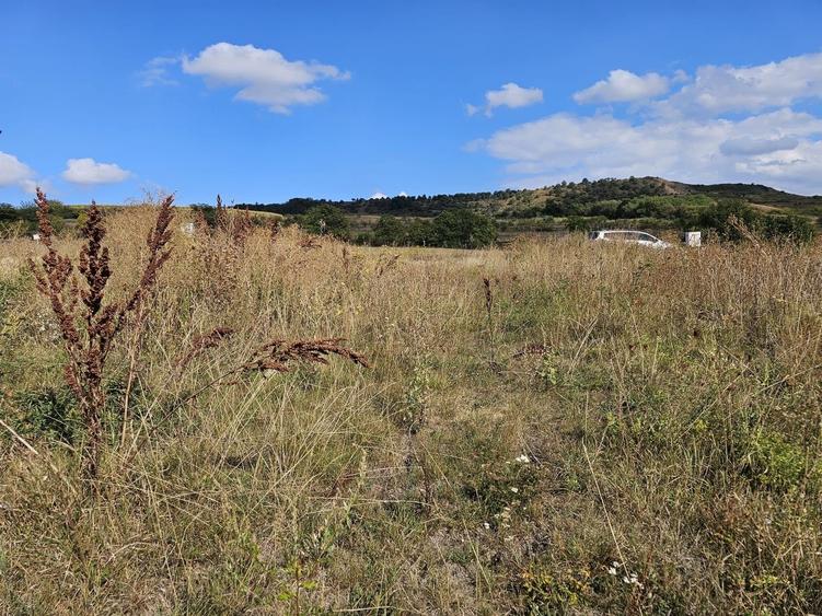 Teren cu autorizatie pentru doua case in Chinteni - 7