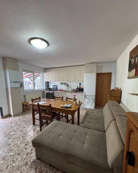 Vand vila in Roman zona buna - 11