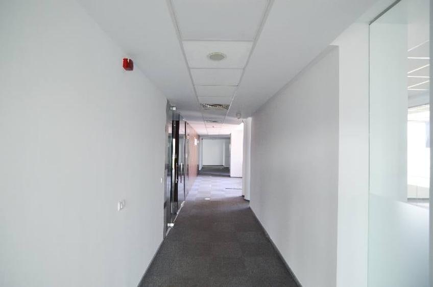 Grand Offices
, Floreasca, 317 mp  0% comision! - 13