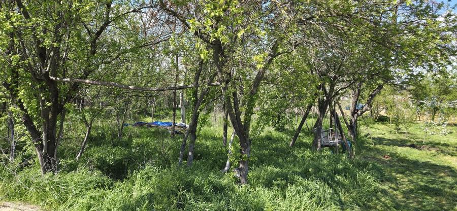 Vand proprietate   - 10