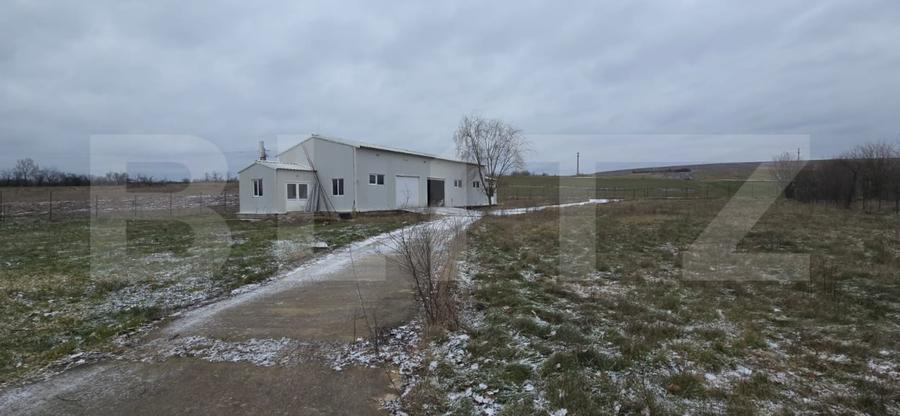 Hala industriala/comerciala, 190 mp, teren 2460 mp, Vulpeni - 1