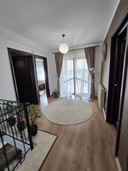 Casa de Vis, Serbanesti - 16