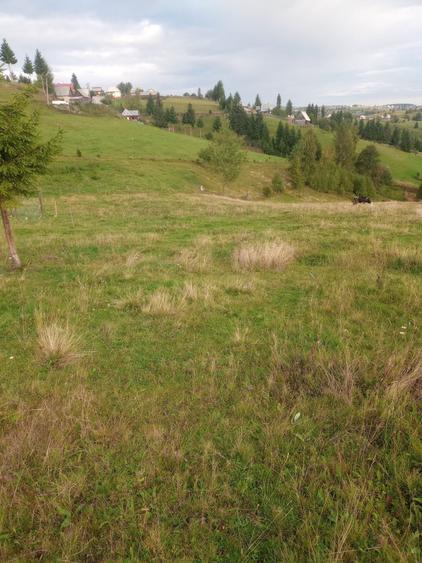 Vand teren intravilan si extravilan Sat Maguri - 5