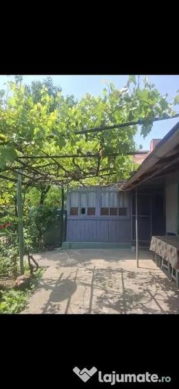 Vand gospodarie casa si teren ,gradina - 28
