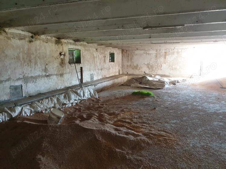 Spațiu comercial, de 30,000 mp, în Singureni