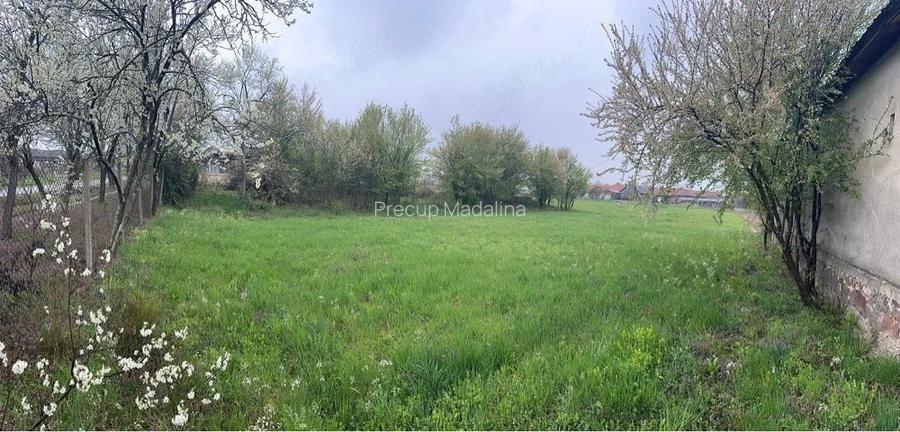 Teren intravilan loc Cil, com. Alma?, jud. Arad