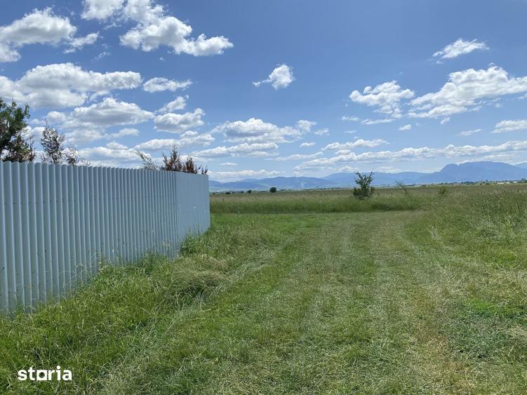 Casă cu 3 camere cu Teren 1400 Mp în Dârste